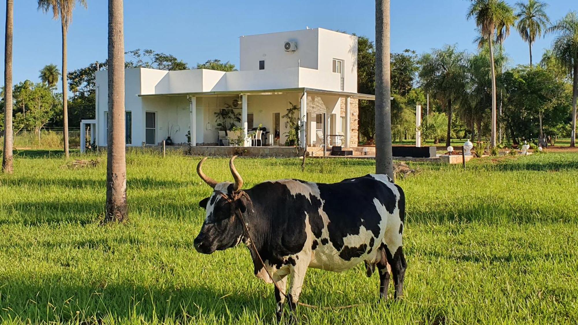 Residencia De Coco, Kuenstlerhaus In Piribebuy, Exterior photo